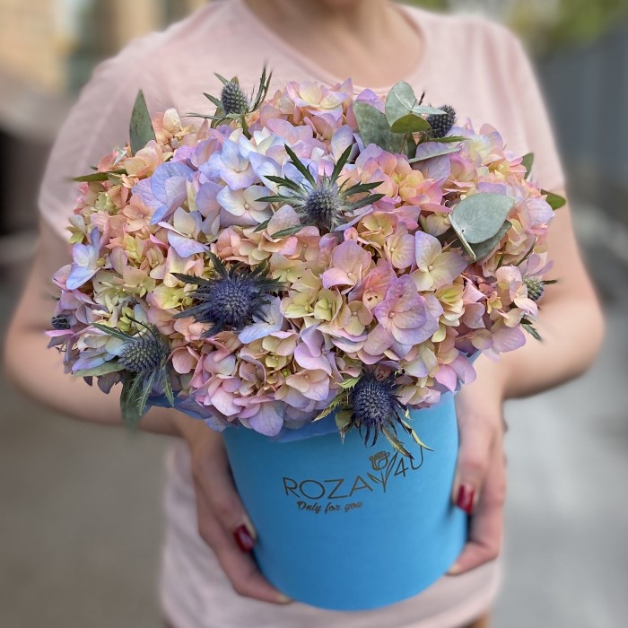 Гортензия Мейджикал Романс с эрингиумом в коробке