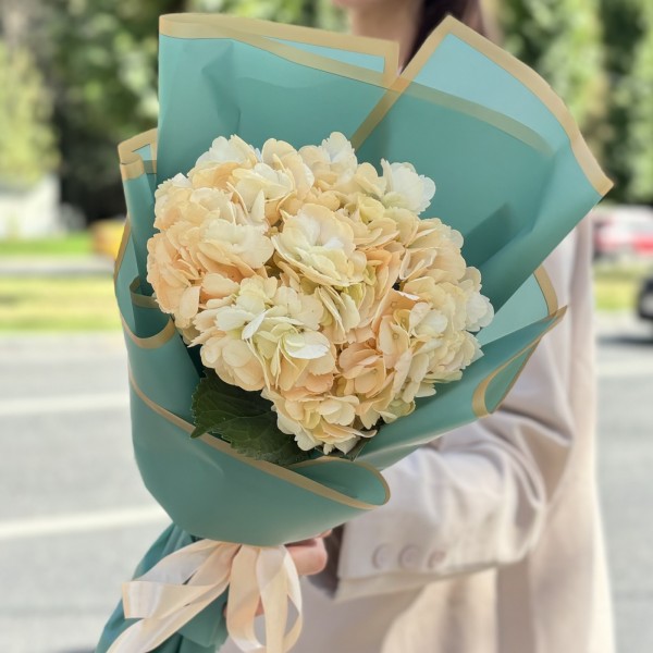 Гортензия Пич в упаковке