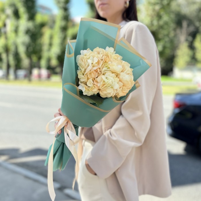 Гортензия Пич в упаковке