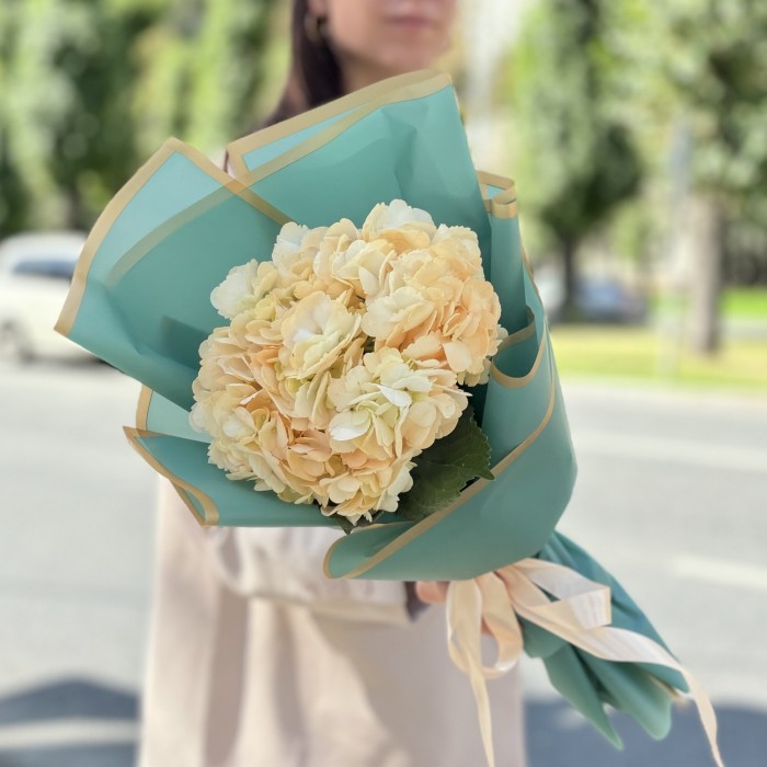 Гортензия Пич в упаковке