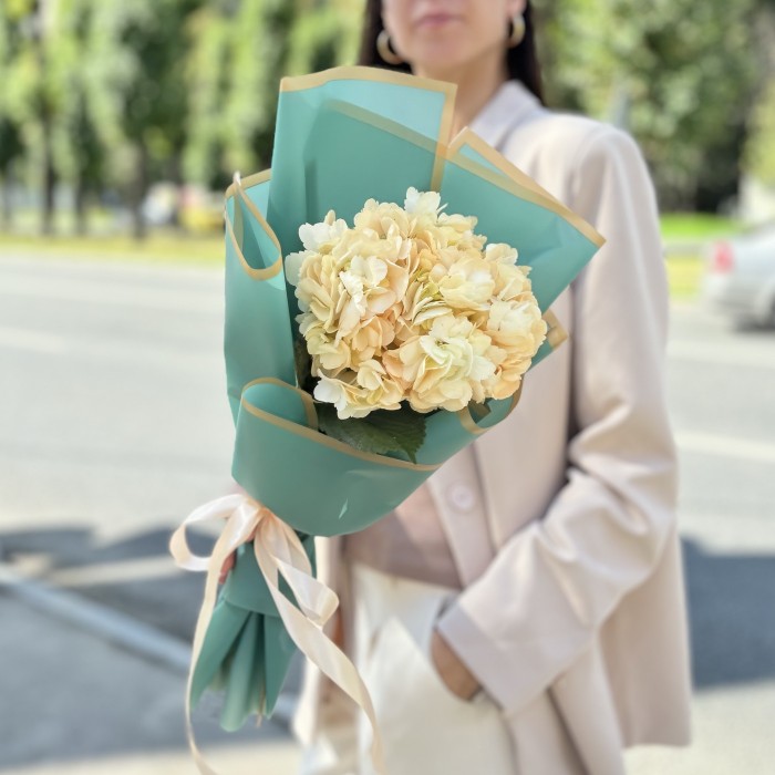 Гортензия Пич в упаковке