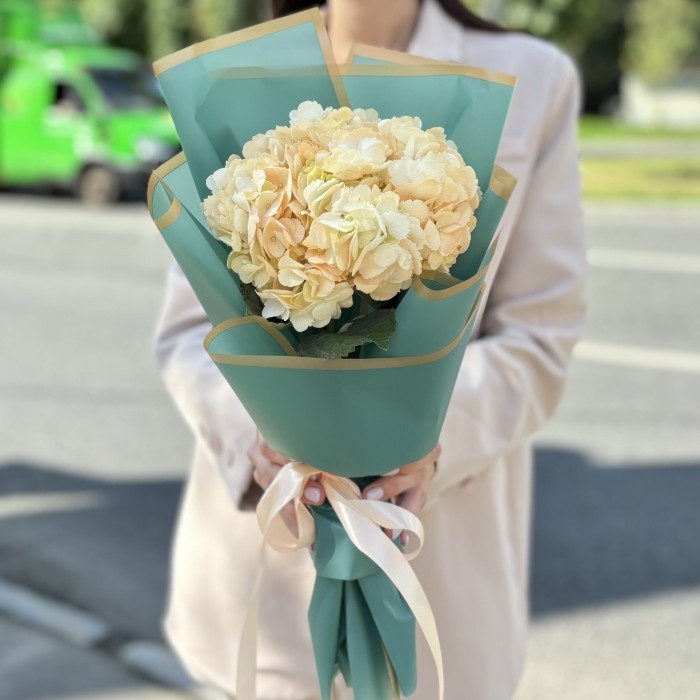 Гортензия Пич в упаковке