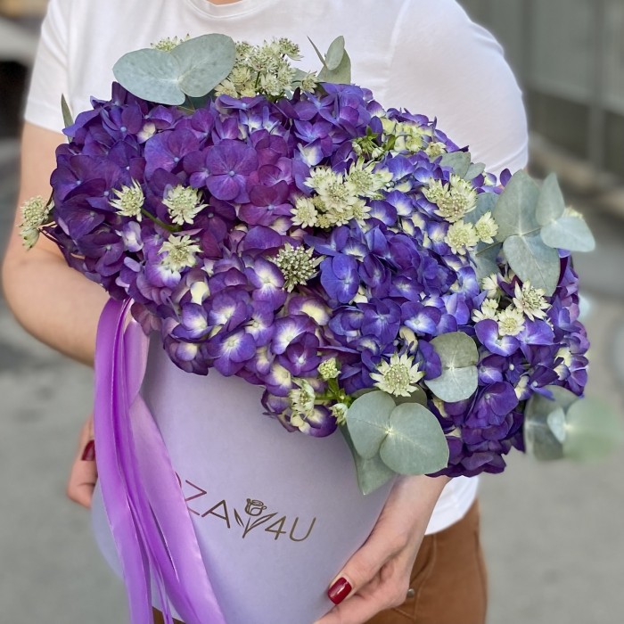 Гортензия Пурпл Натурал с эвкалиптом в коробке