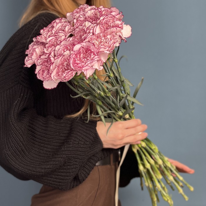 Гвоздика бело-розовая