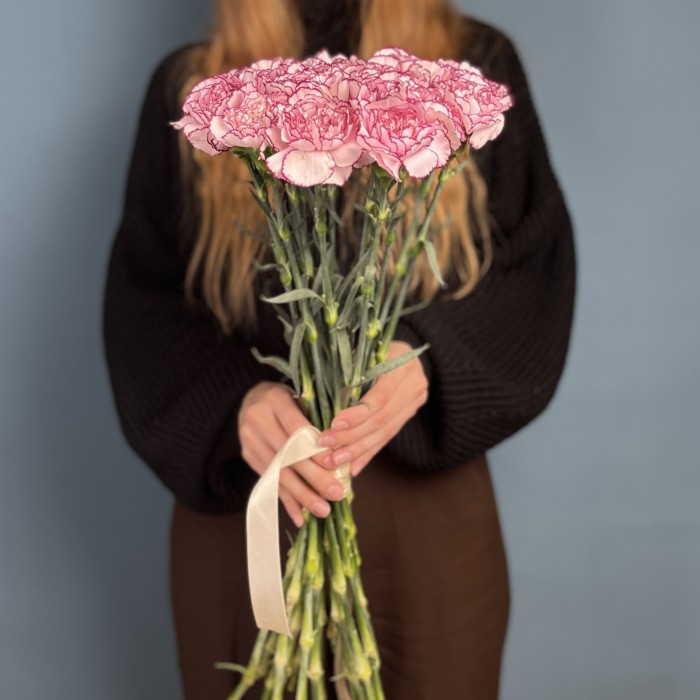 Гвоздика бело-розовая