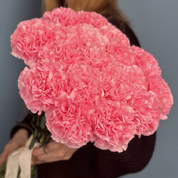 Гвоздика розовая (Pink Pomerosa)