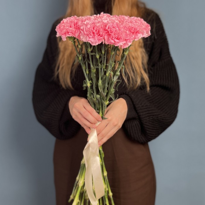 Гвоздика розовая (Pink Pomerosa)