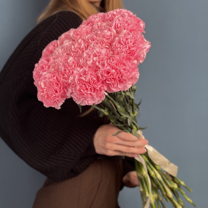 Гвоздика розовая (Pink Pomerosa)