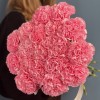 Гвоздика розовая (Pink Pomerosa)