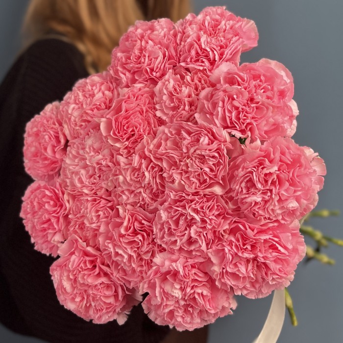 Гвоздика розовая (Pink Pomerosa)