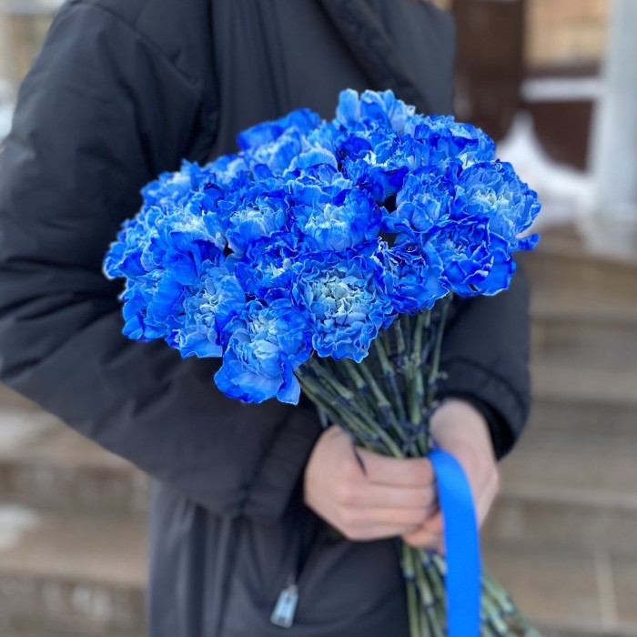 Гвоздика синяя Блю Вайт Молли