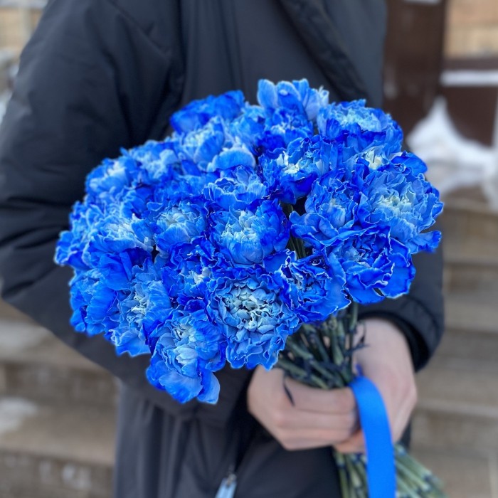 Гвоздика синяя Блю Вайт Молли