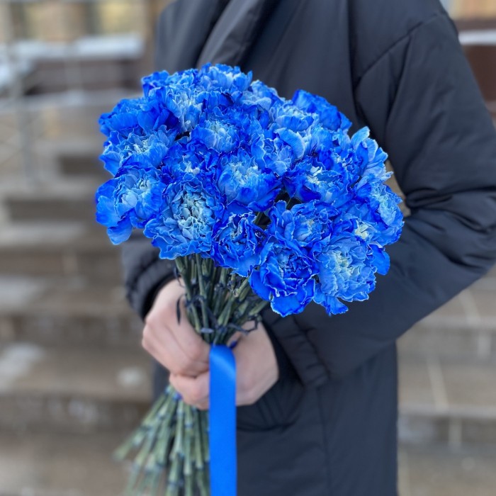 Гвоздика синяя Блю Вайт Молли