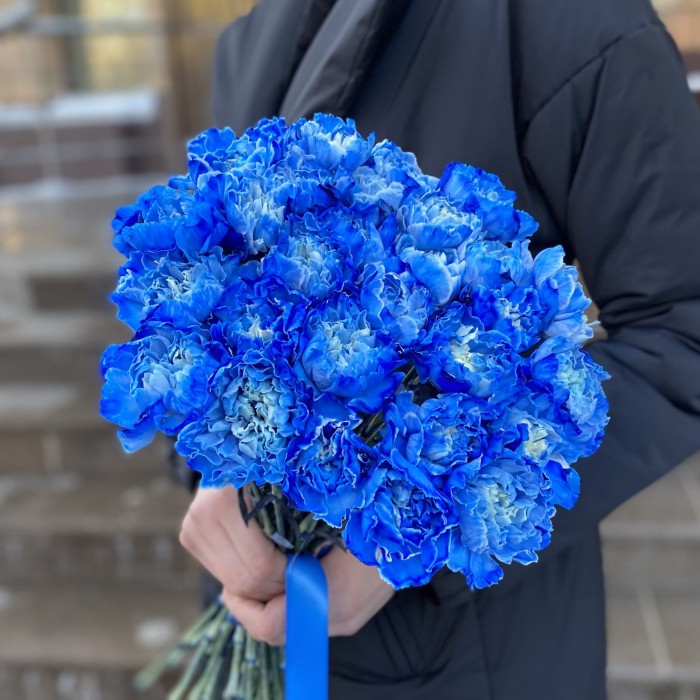 Гвоздика синяя Блю Вайт Молли