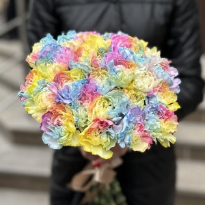 Гвоздика Радужная