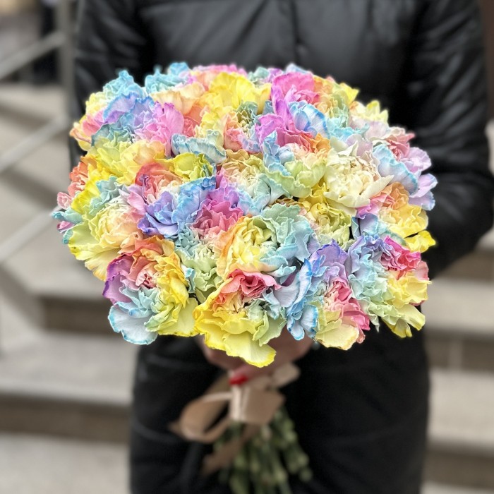 Гвоздика Радужная