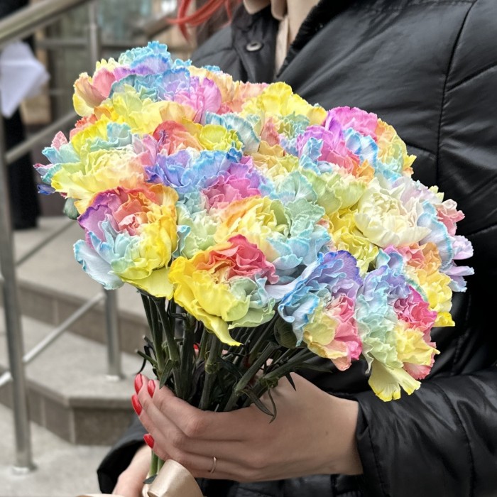 Гвоздика Радужная