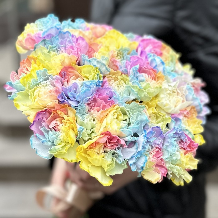 Гвоздика Радужная