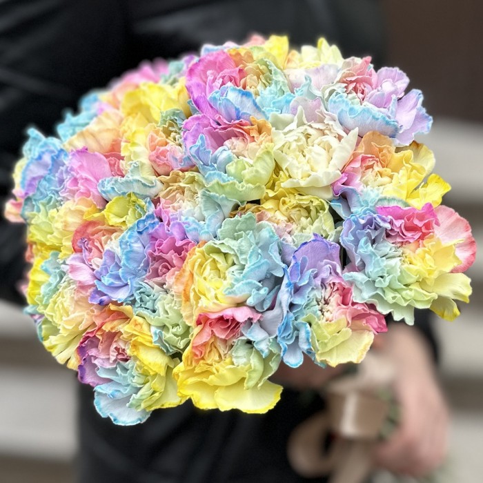 Гвоздика Радужная