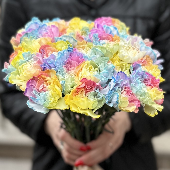 Гвоздика Радужная