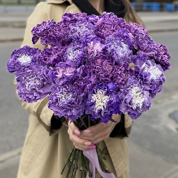 Гвоздика фиолетовая Вайт Перпл Молли