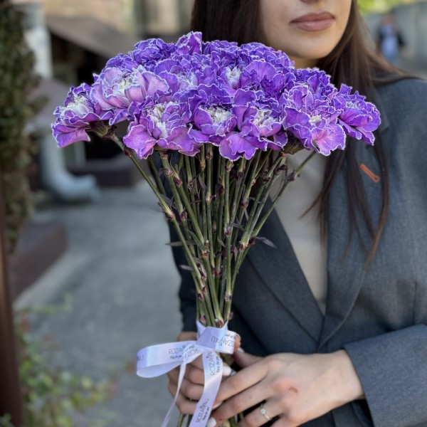 Гвоздика фиолетовая Вайт Перпл Молли