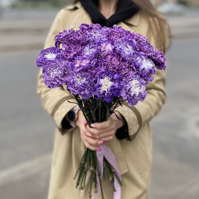 Гвоздика фиолетовая Вайт Перпл Молли