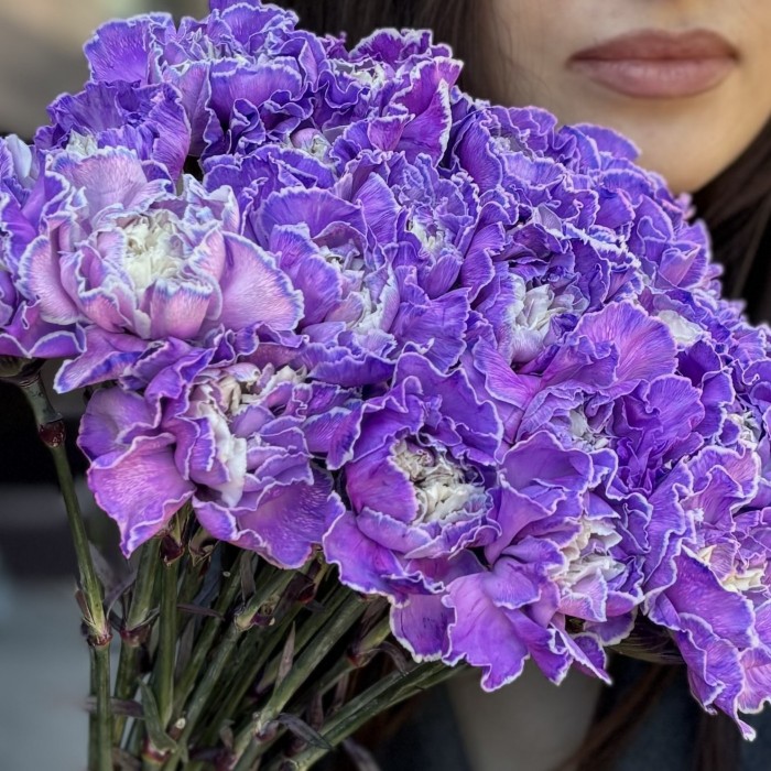 Гвоздика фиолетовая Вайт Перпл Молли