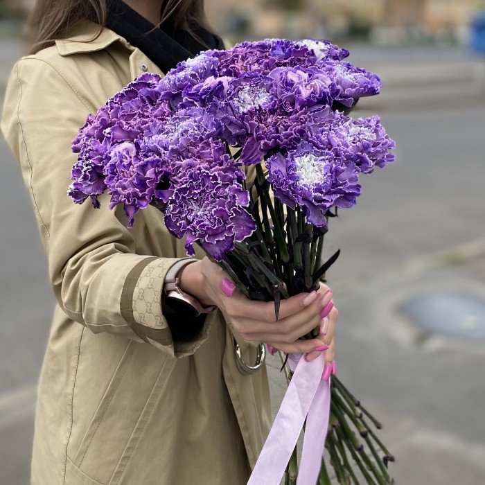 Гвоздика фиолетовая Вайт Перпл Молли