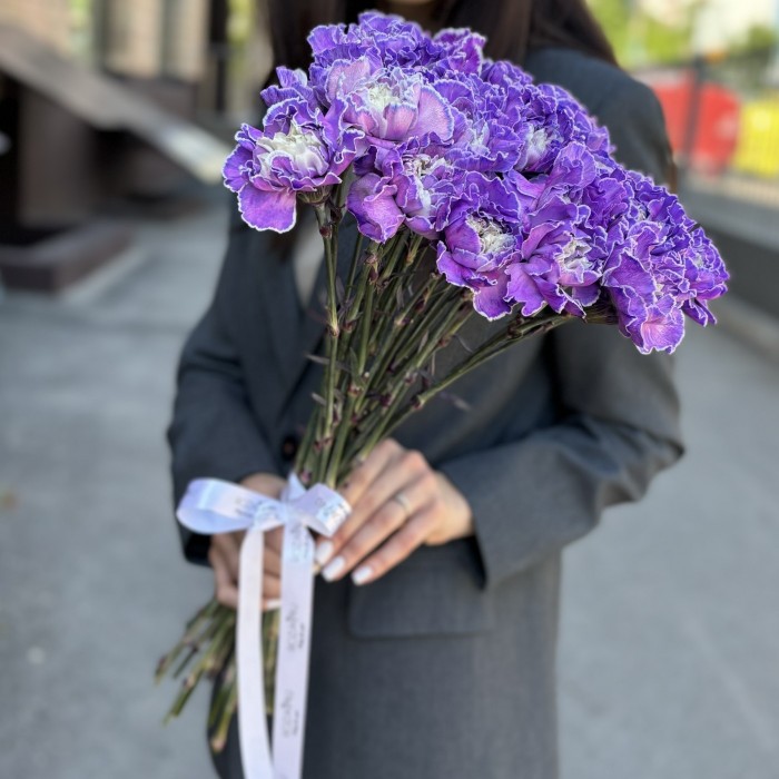 Гвоздика фиолетовая Вайт Перпл Молли