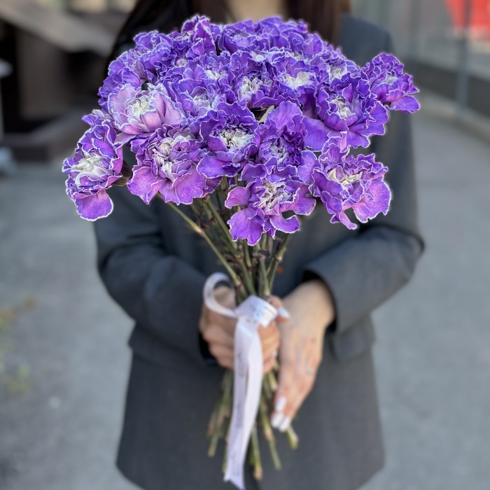 Гвоздика фиолетовая Вайт Перпл Молли