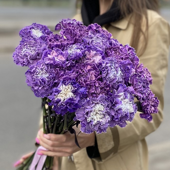 Гвоздика фиолетовая Вайт Перпл Молли