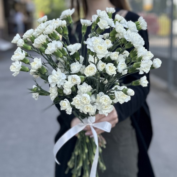 Гвоздика кустовая белая