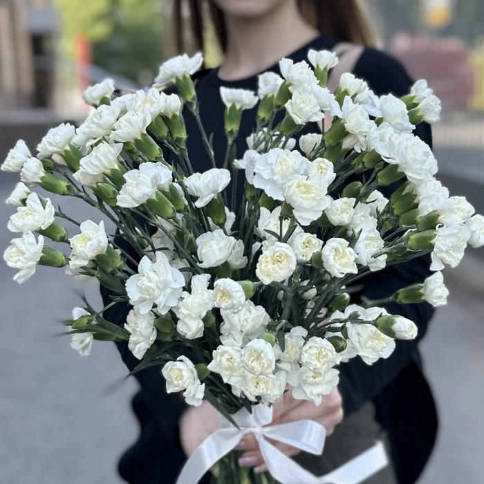 Гвоздика кустовая белая