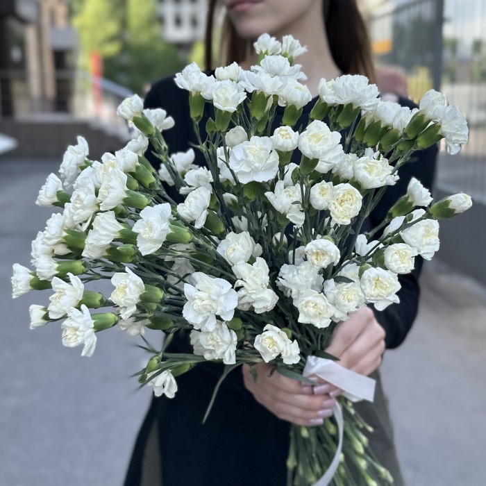 Гвоздика кустовая белая