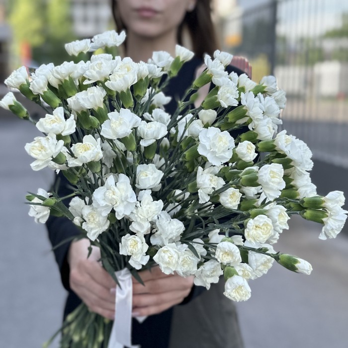 Гвоздика кустовая белая