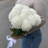 Хризантема белая