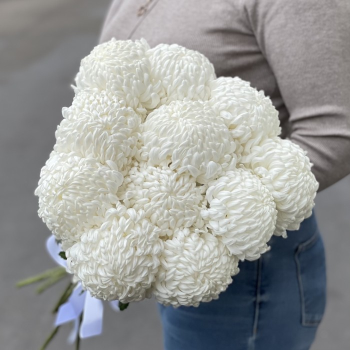 Хризантема белая