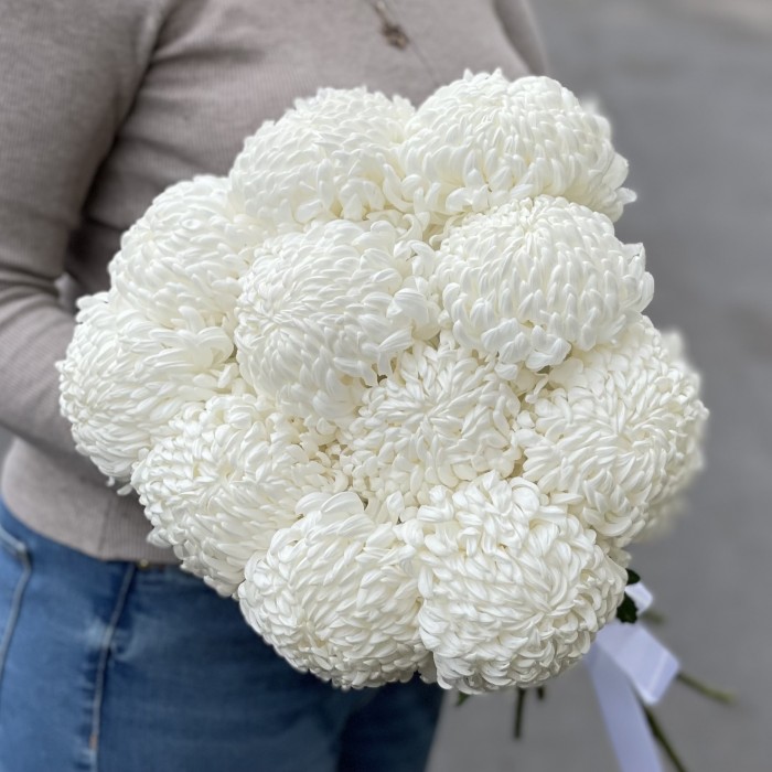 Хризантема белая