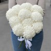 Хризантема белая