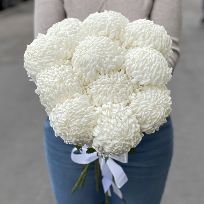 Хризантема белая