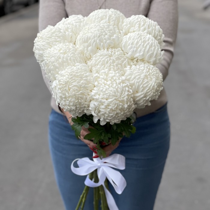 Хризантема белая