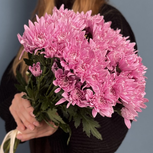 Хризантема кустовая Розовая