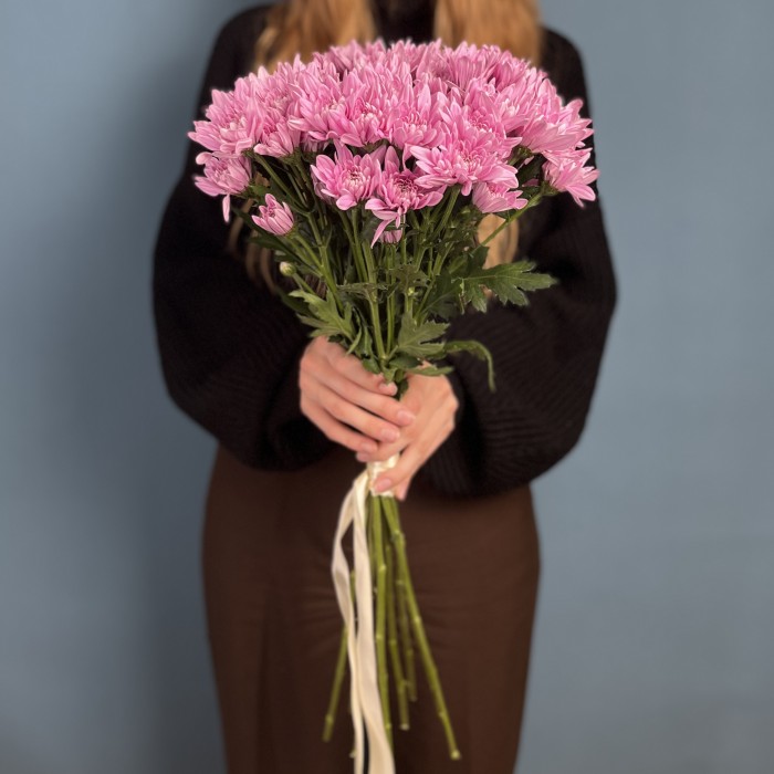 Хризантема кустовая Розовая