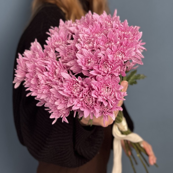 Хризантема кустовая Розовая