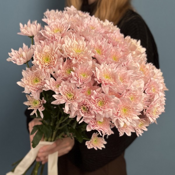 Хризантема кустовая Светло-Розовая