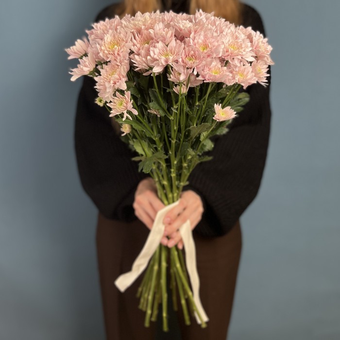 Хризантема кустовая Светло-Розовая