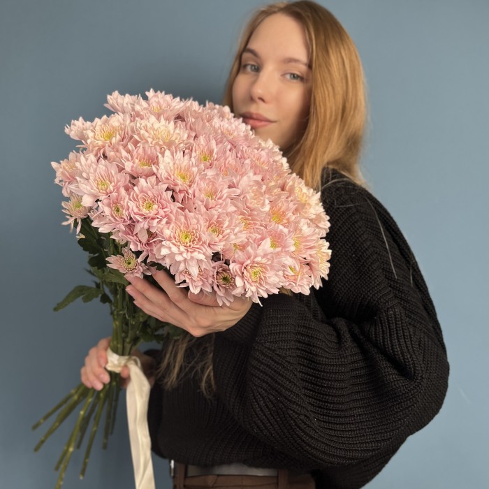 Хризантема кустовая Светло-Розовая
