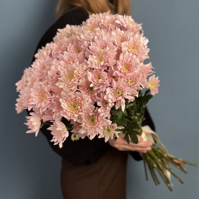 Хризантема кустовая Светло-Розовая