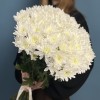 Хризантема кустовая белая